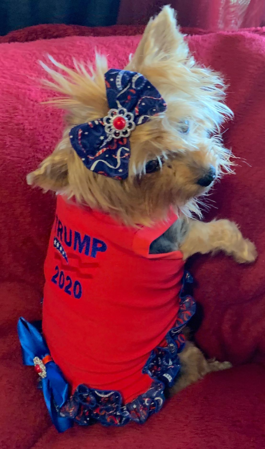 Dressed for shopping